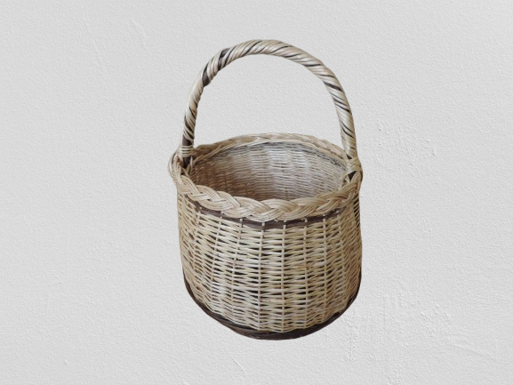 dscn1195 removebg preview