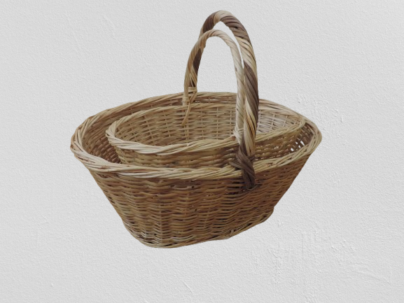 dscn1201 removebg preview